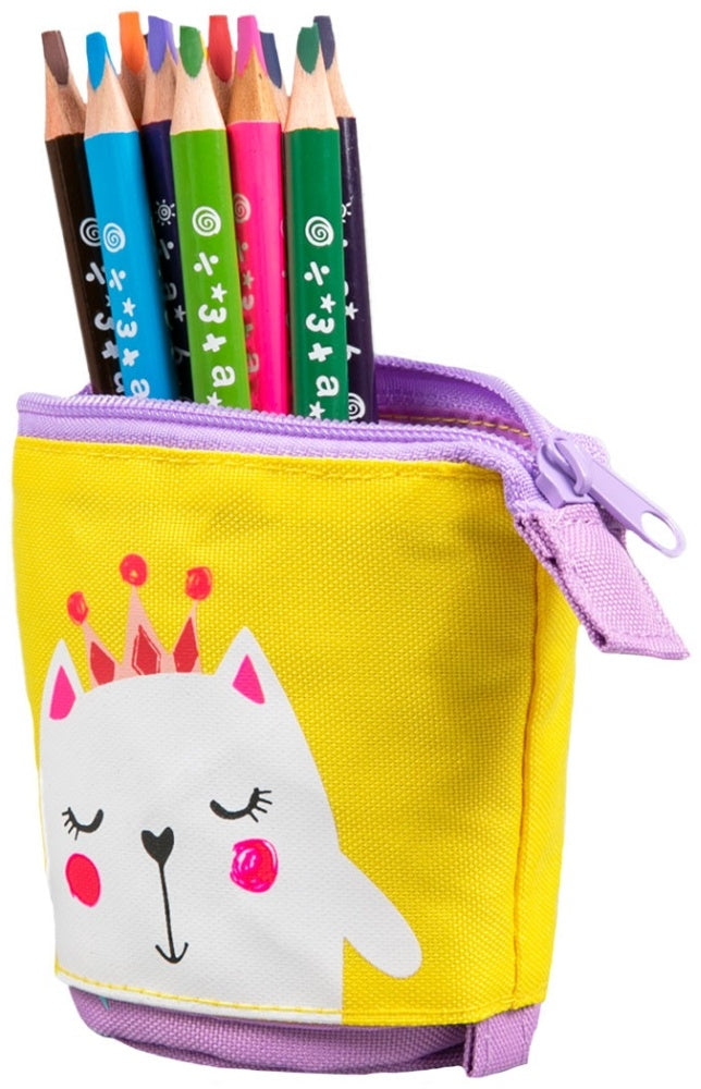 2 in 1 pencil case & pen holder