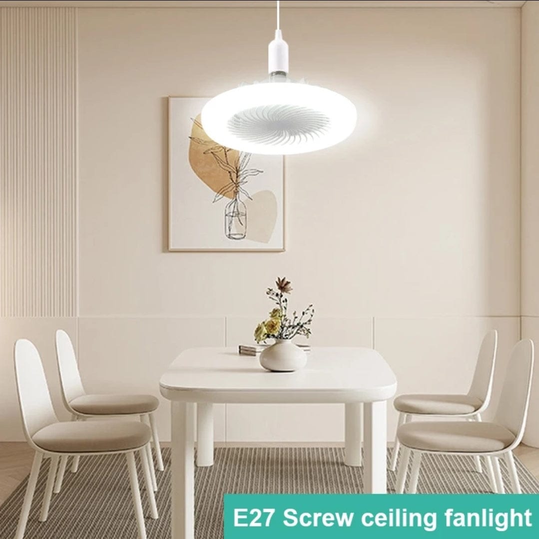 2 in 1 LED fan light