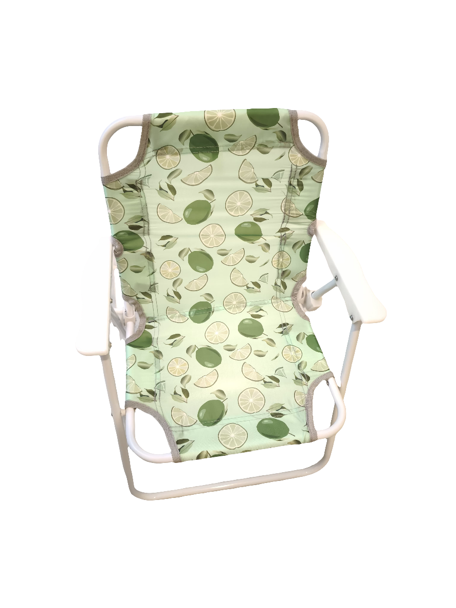 Kids beach picnic chair