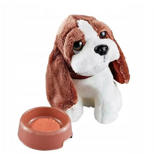 Lovely pet veterinary set