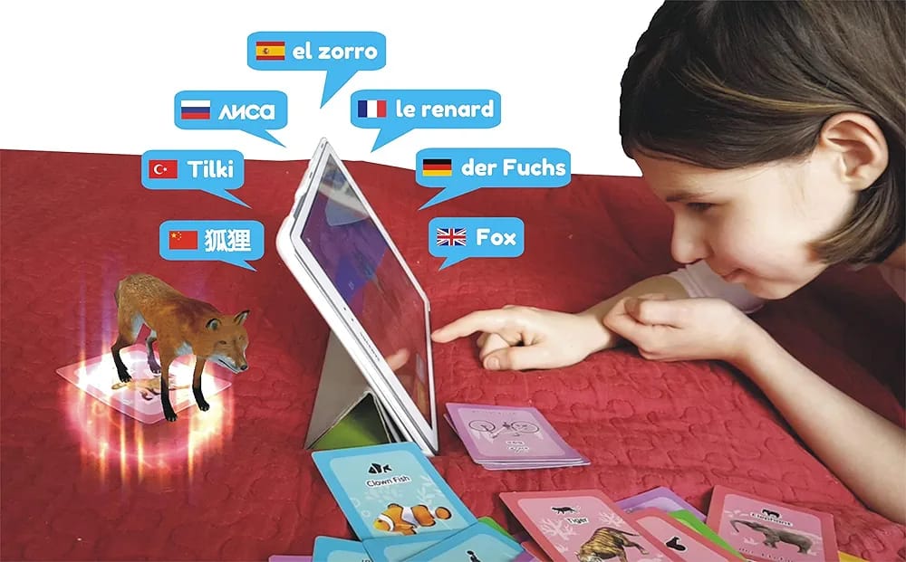 4D flashcards