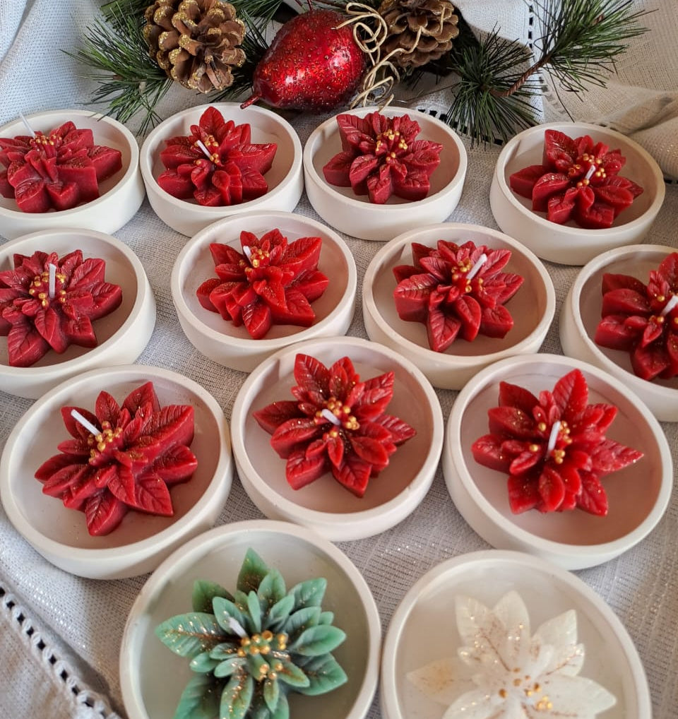 Christmas flower candle with concrete pot