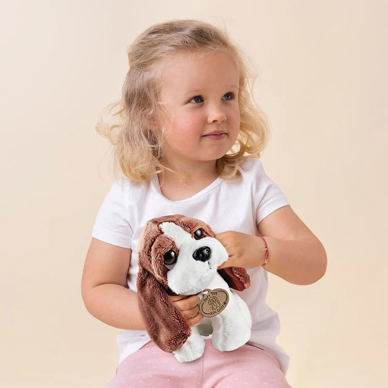Lovely pet veterinary set