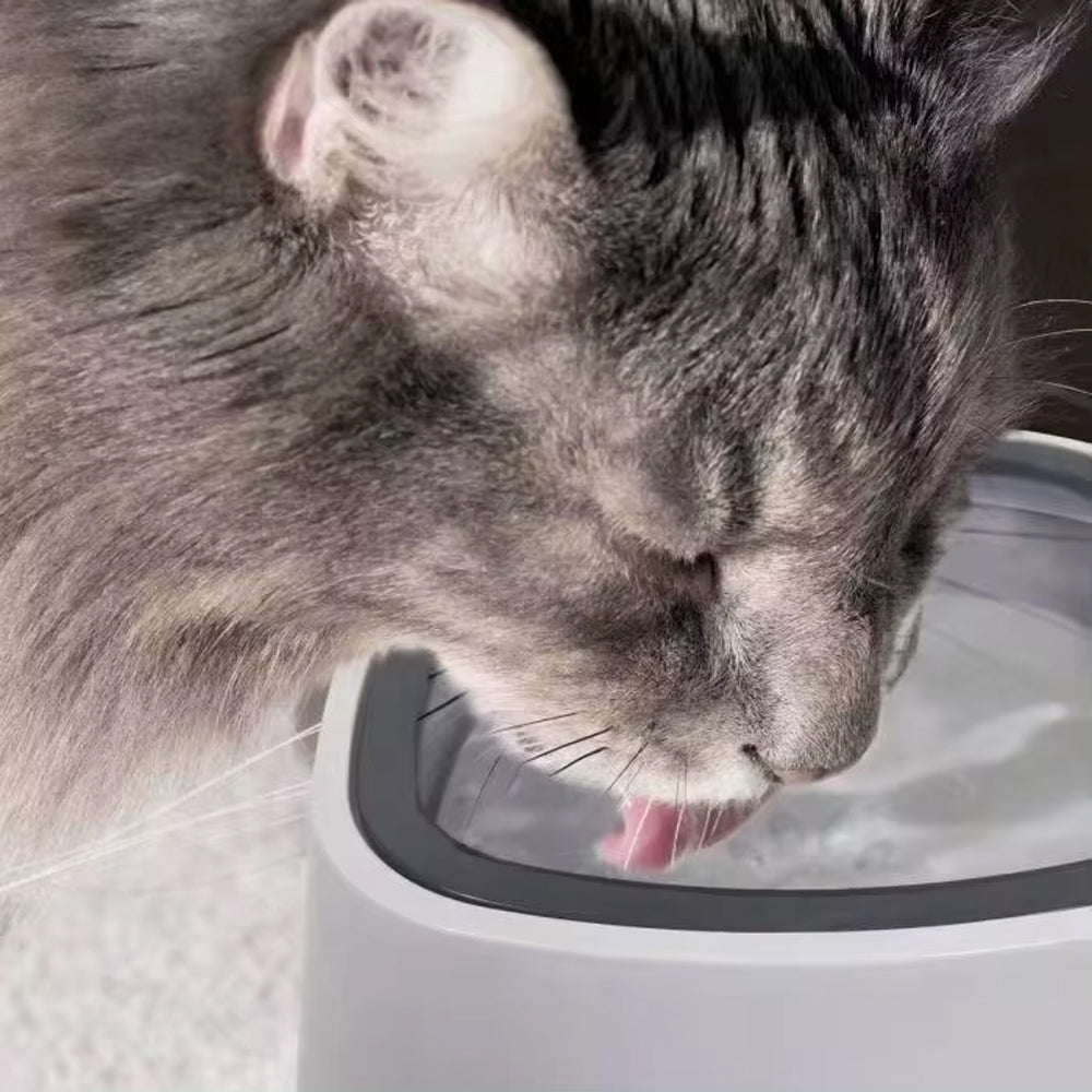 Anti drip water bowl