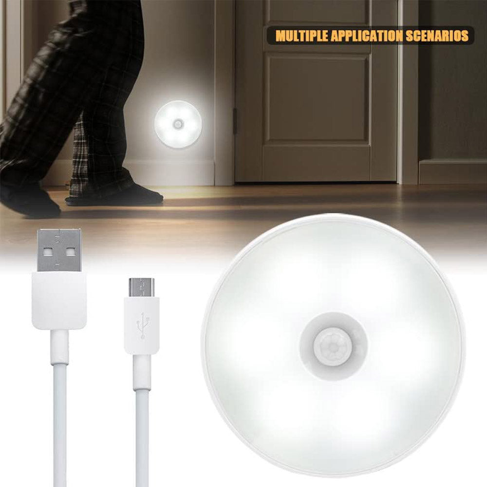 Motion sensor LED light