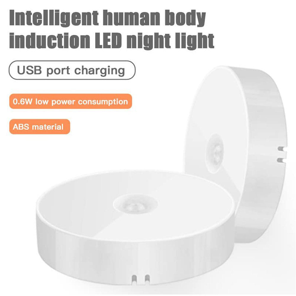 Motion sensor LED light