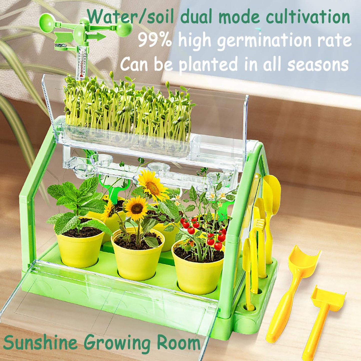 Planting sunlight room