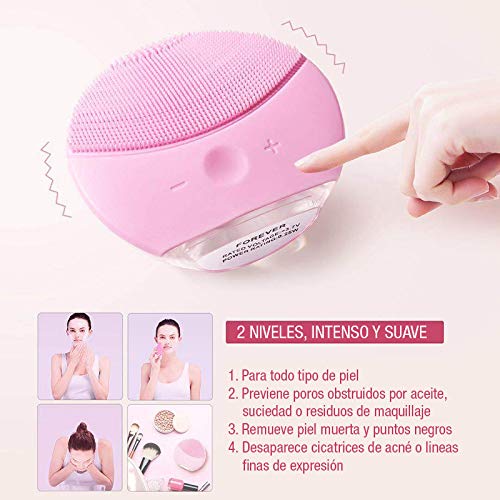 Electric face brush and massager