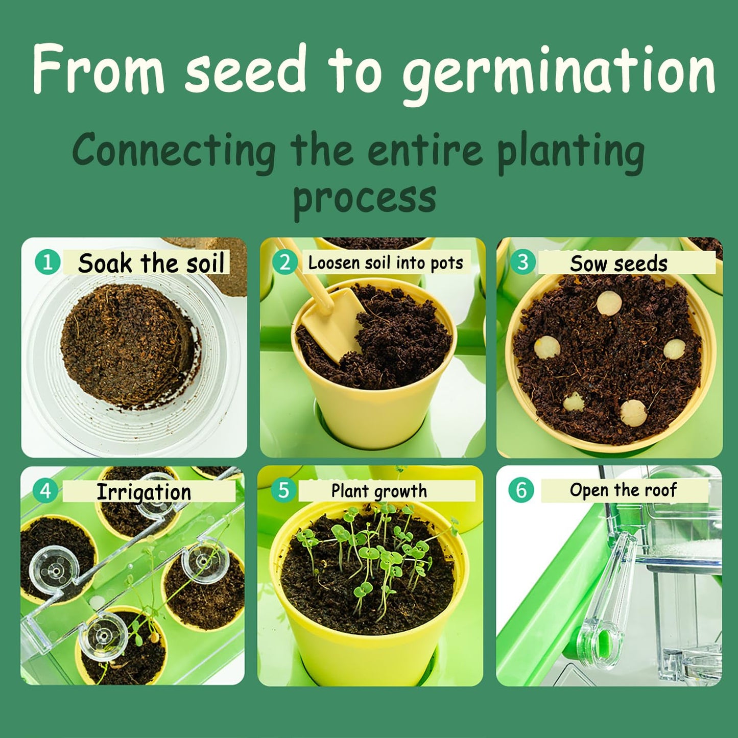 Planting sunlight room