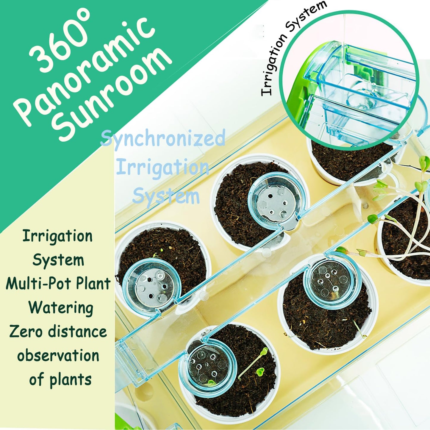 Planting sunlight room