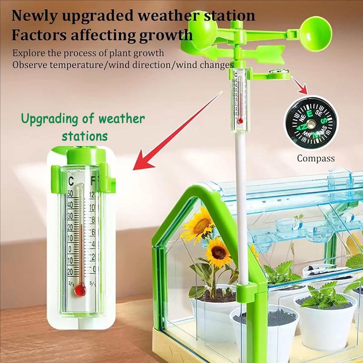 Planting sunlight room
