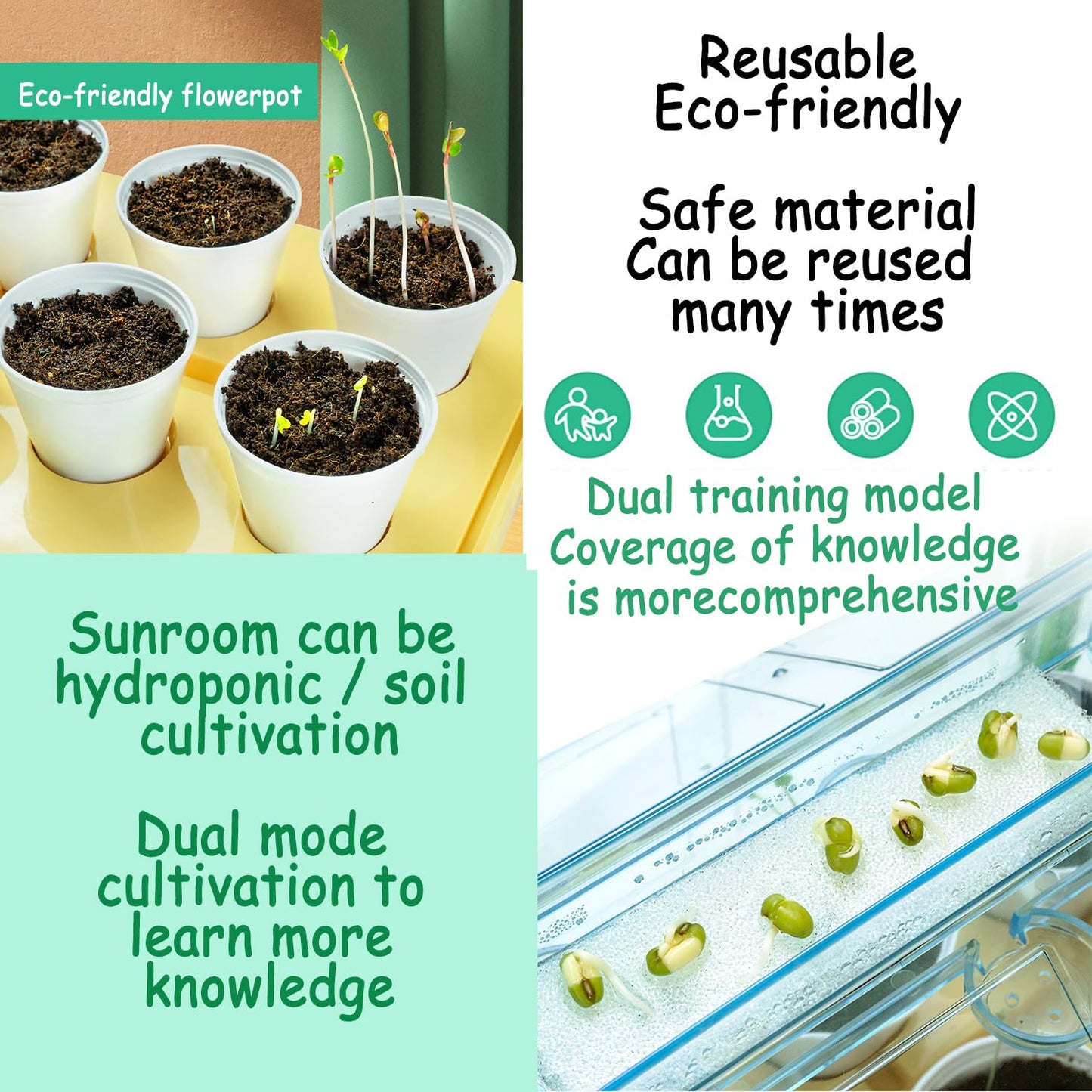 Planting sunlight room