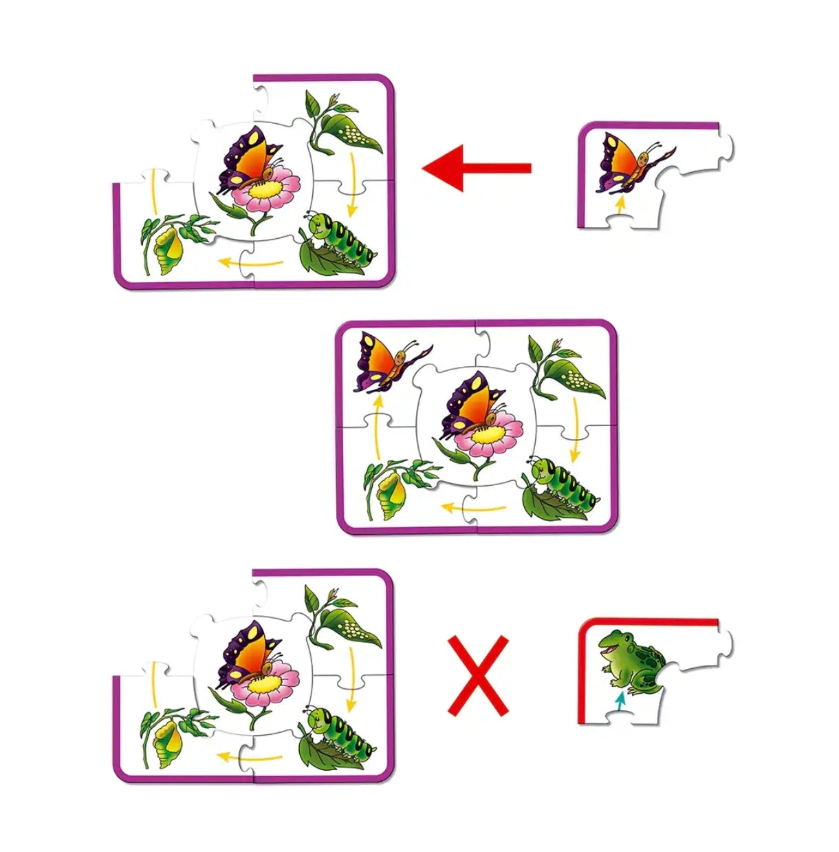 Frank growing up puzzle