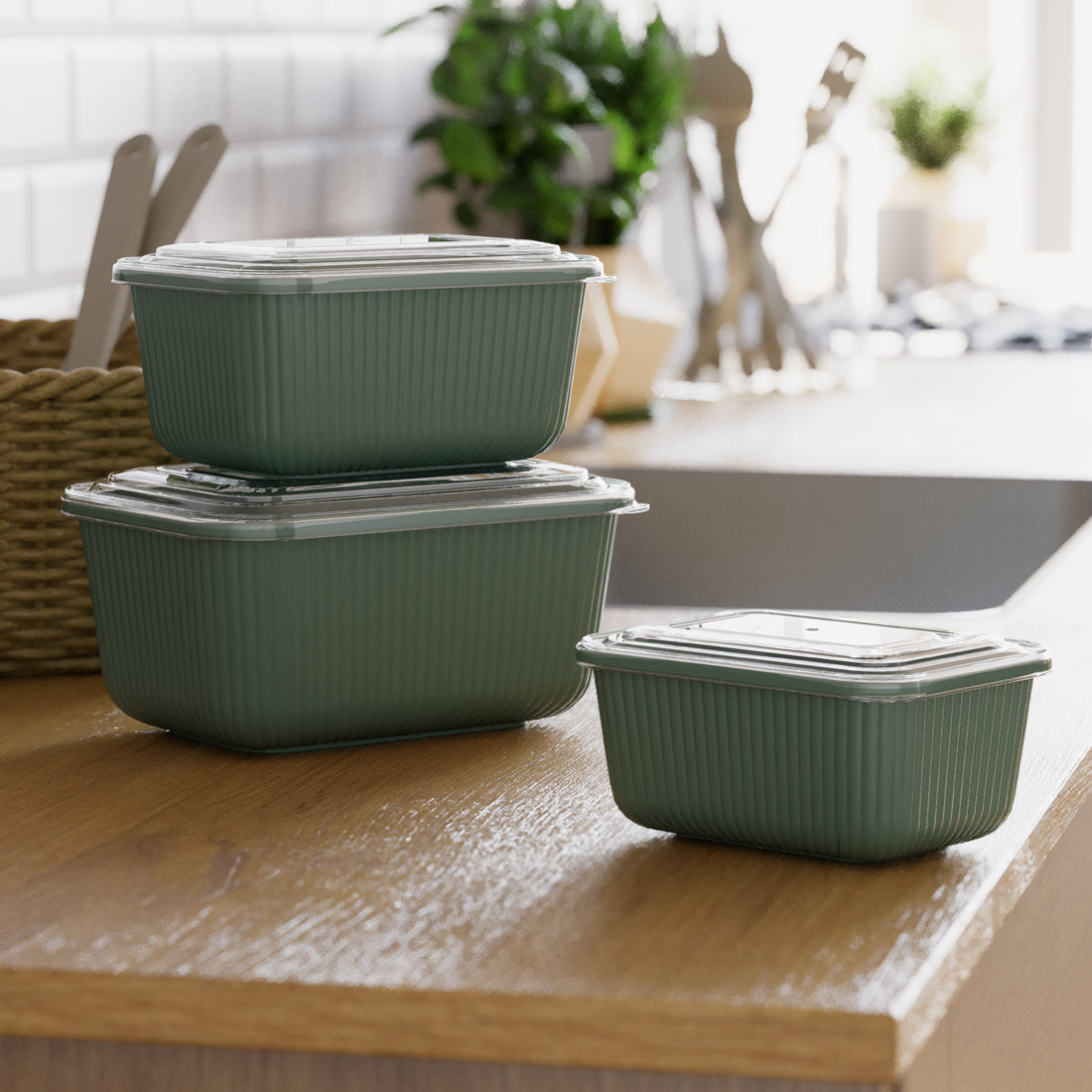 Snap lid rectangular set of 3 containers