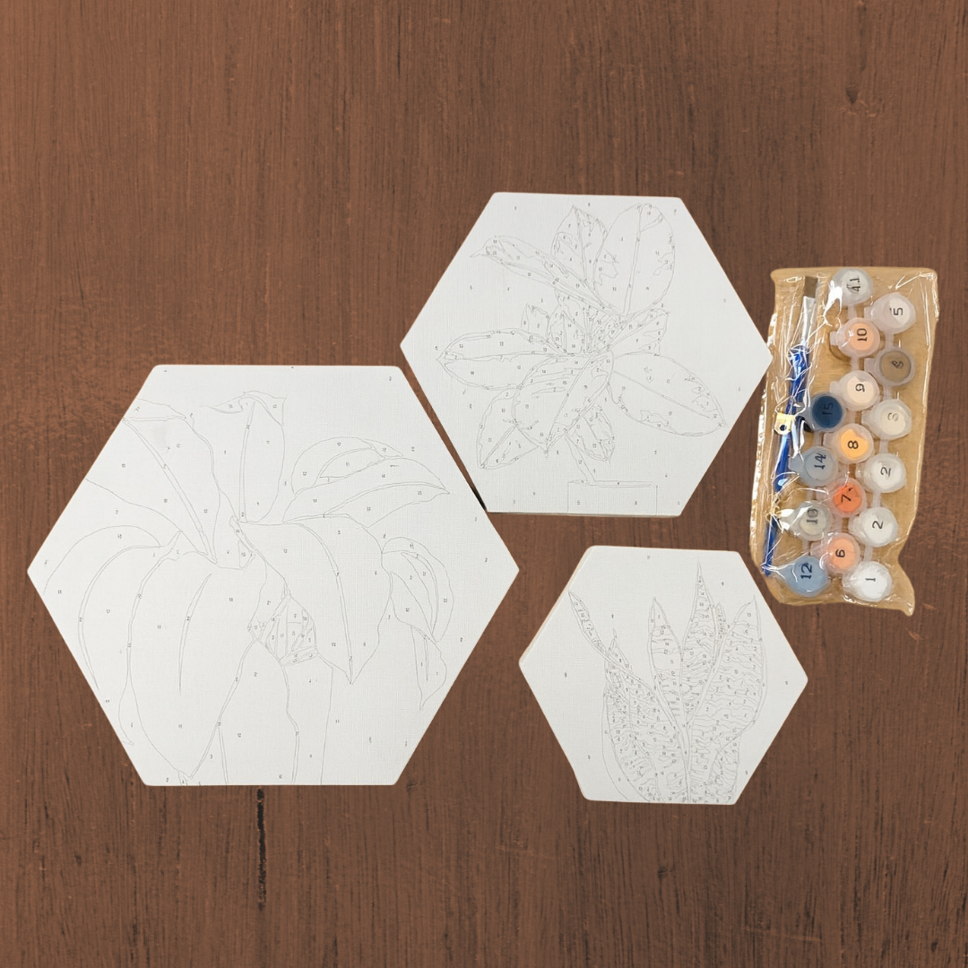 Paint by number 3 canvas set