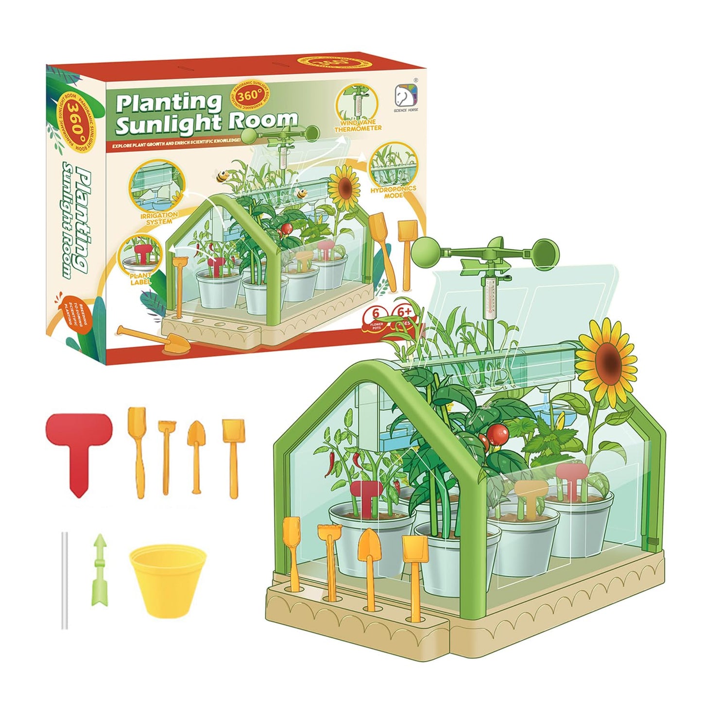 Planting sunlight room
