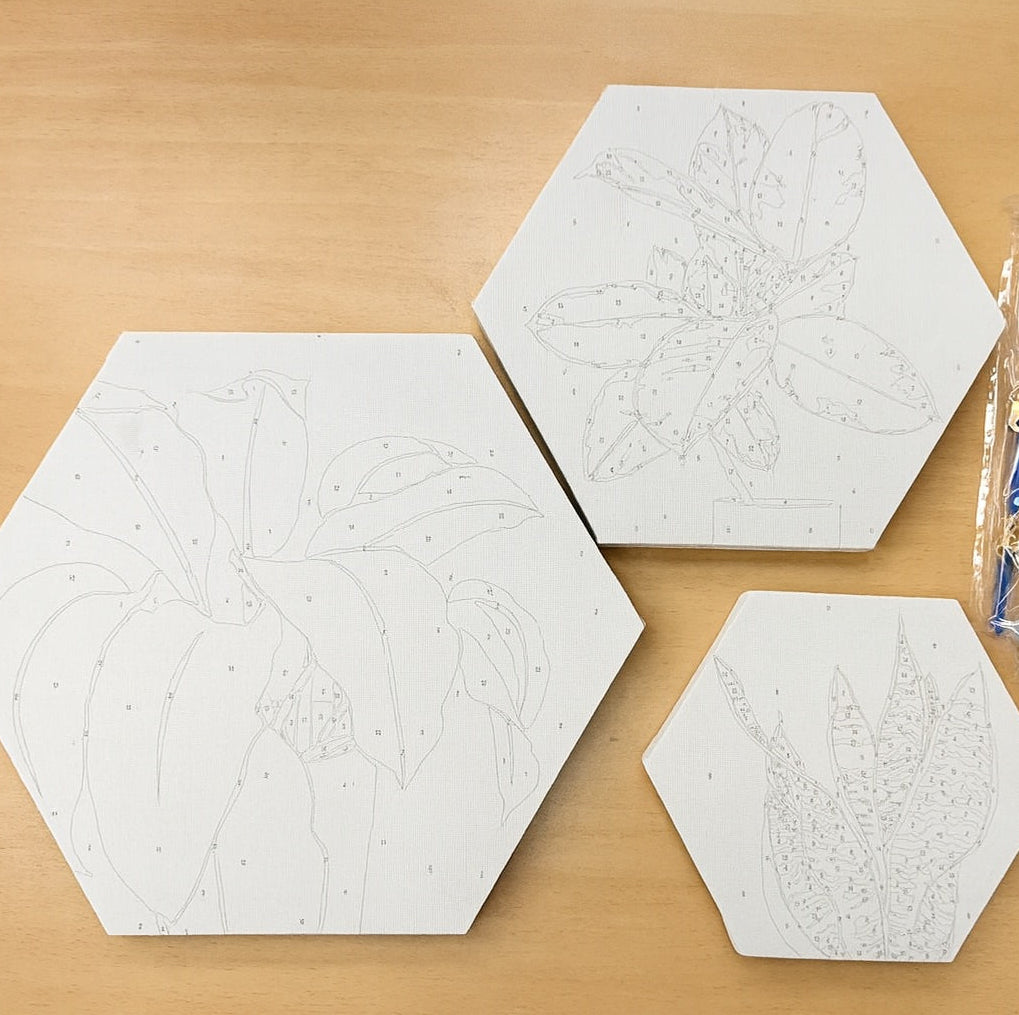 Paint by number 3 canvas set