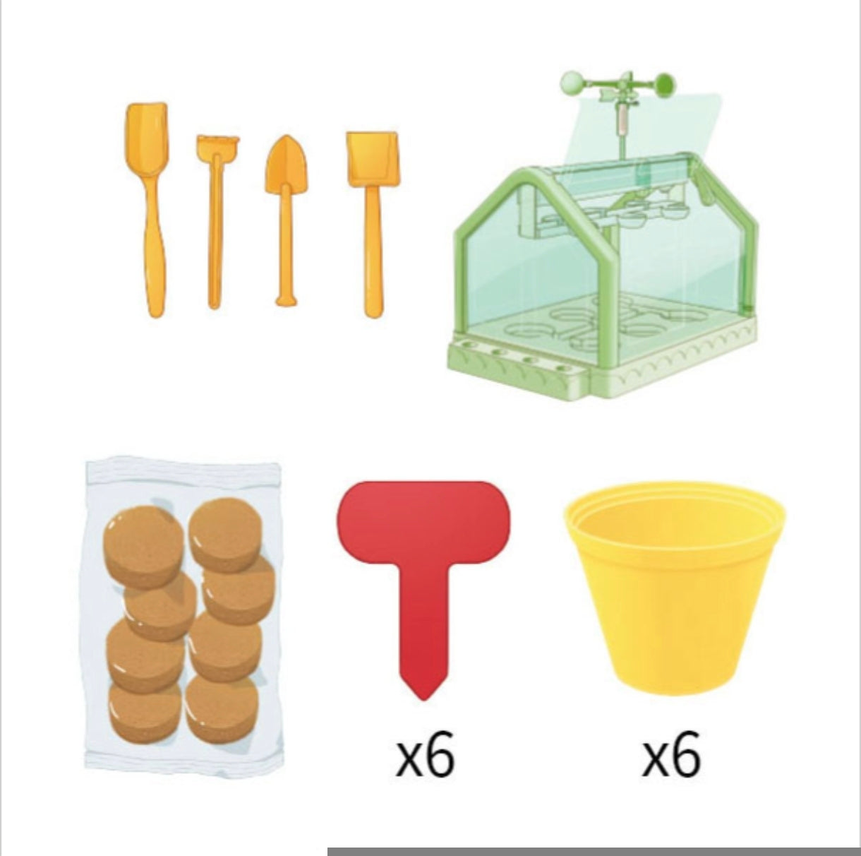 Planting sunlight room