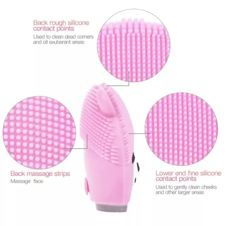 Electric face brush and massager